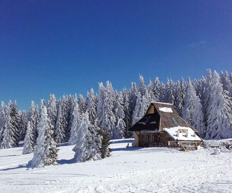 ski_resort_Kopaonik_cabin