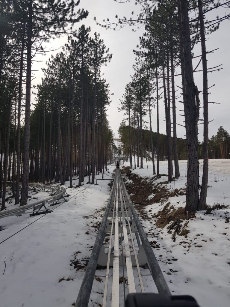 bobsleigh_on_trails