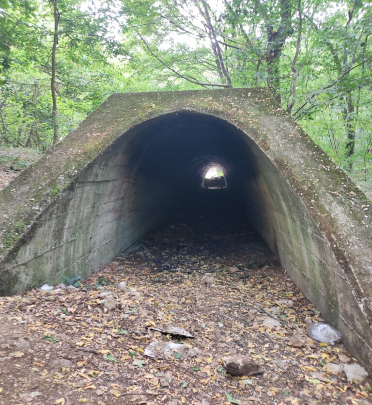 Tunnel in front of the Deguricka Cave