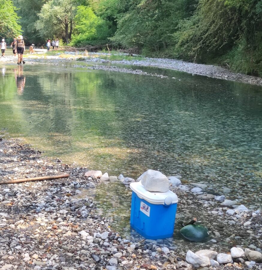 Cooling drinks in the Gradac river