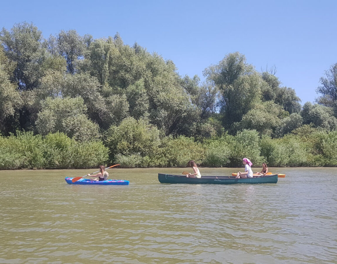 Women kayaking from the splav areas in Belgrade