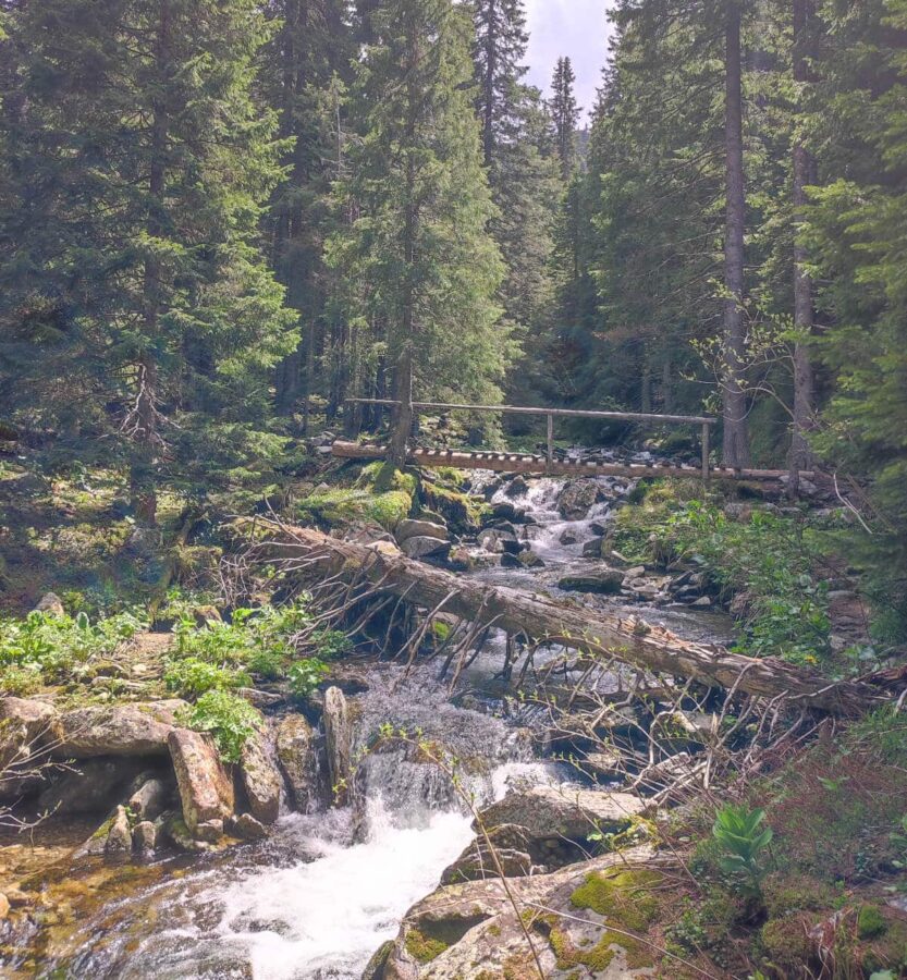 Small bridge to cross in the Retezat National Park