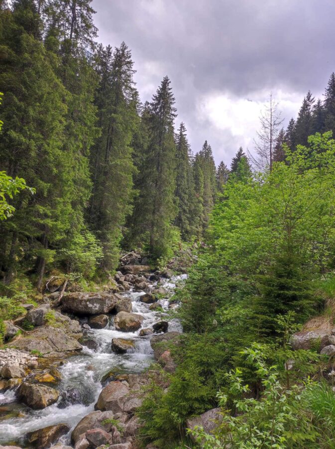 River at the beginning of one hiking trail in the Retezat National Park