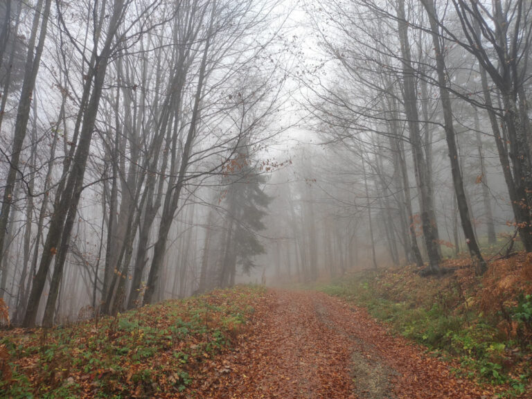 Hiking trail in the Bobija Planina in Serbia