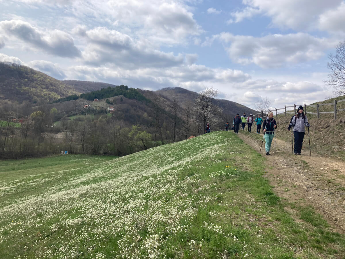 People hiking in the Povlen area towards Taorska Vrela