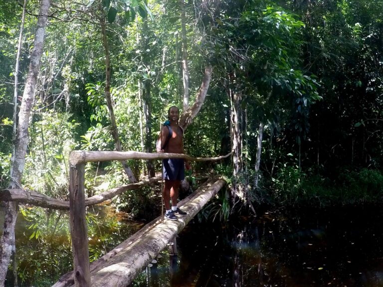 Atlantic Forest in Brazil