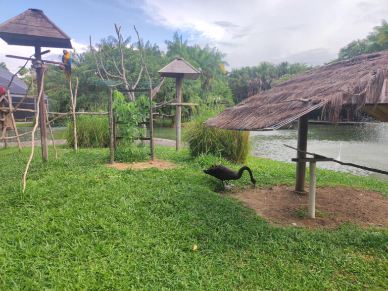 Mangal das Garcas Park in Belem, Brazil