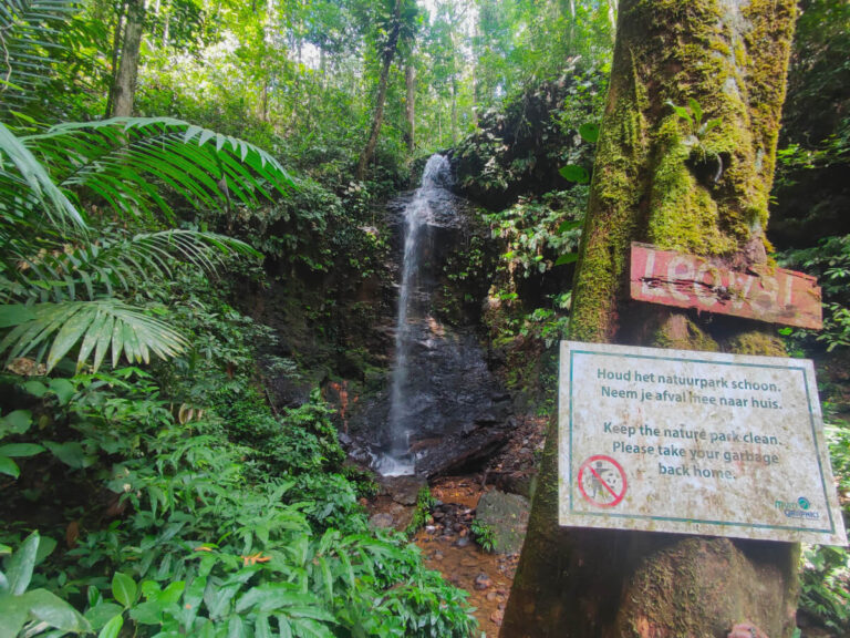 Leo waterfall in Brownsberg National Park