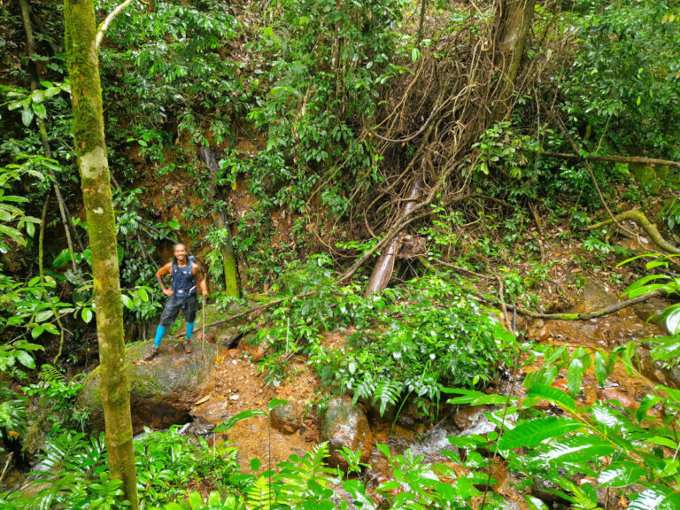 Trail on the way to Mazaroni waterfall in Brownsberg