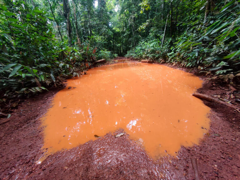 Dirt road from Brownsweg to Brownsberg in Suriname