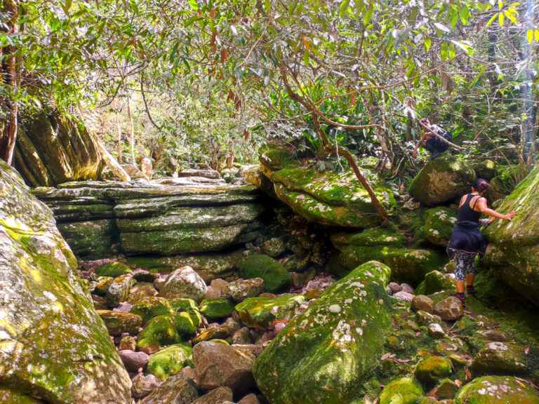 Trail on the way to the bottom of Fumaca waterfall