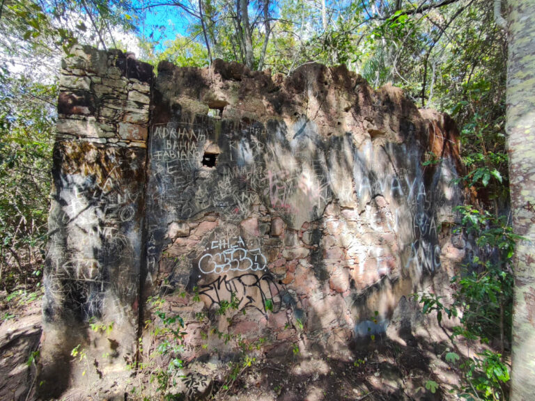 Wall on the trail leading to Rio Preto in Chapada Diamantina