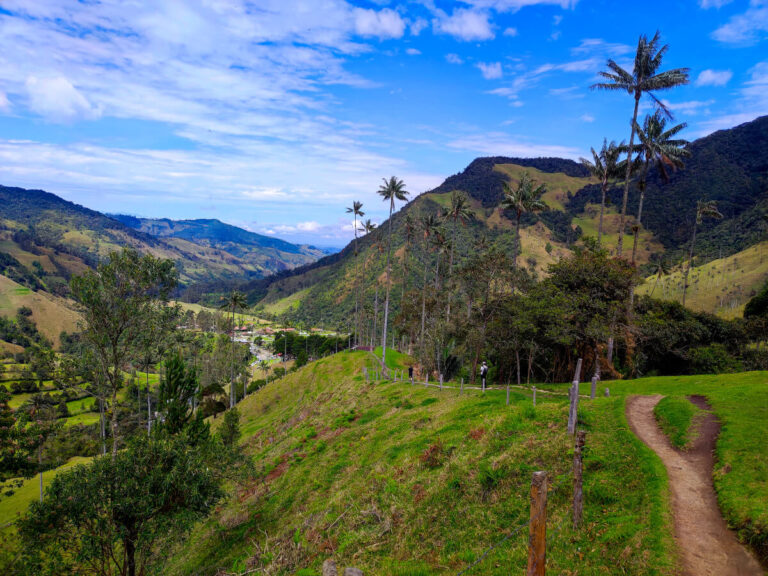 Hiking trail in the Cocora Valley, Colombia