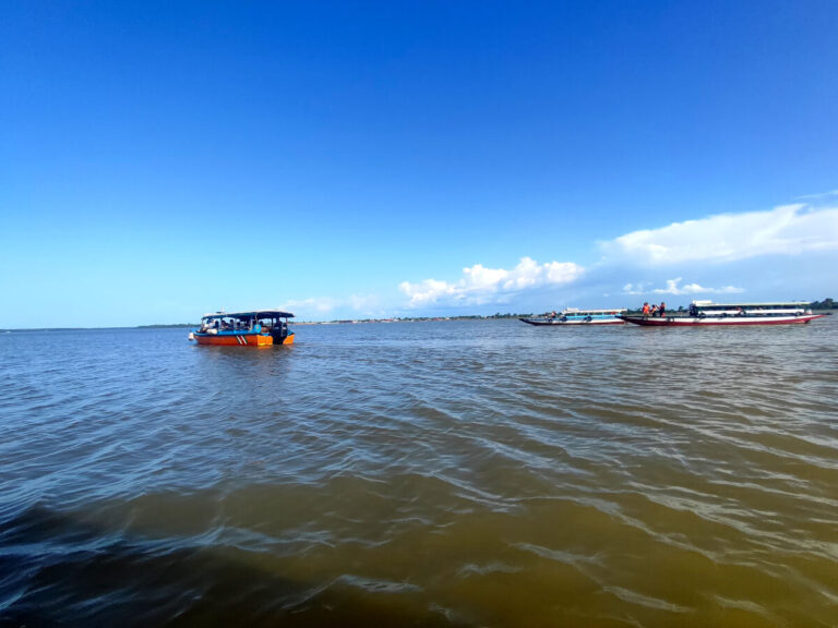 Dolphin tour in Paramaribo, Suriname