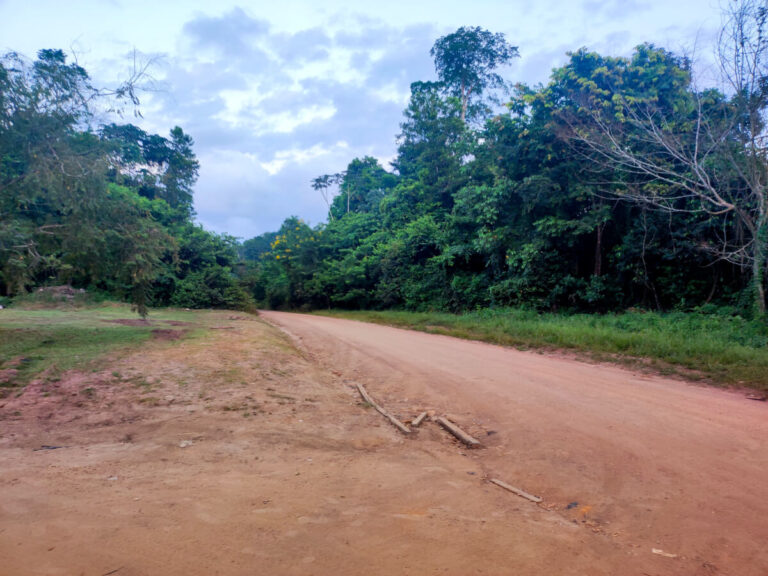 Road condition between Georgetown and Lethem in Guyana