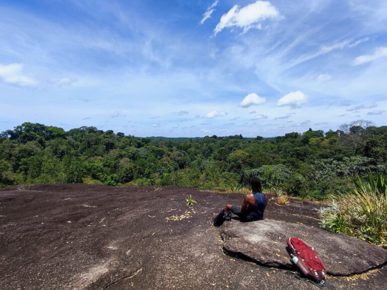 Pineapple mountain in Suriname