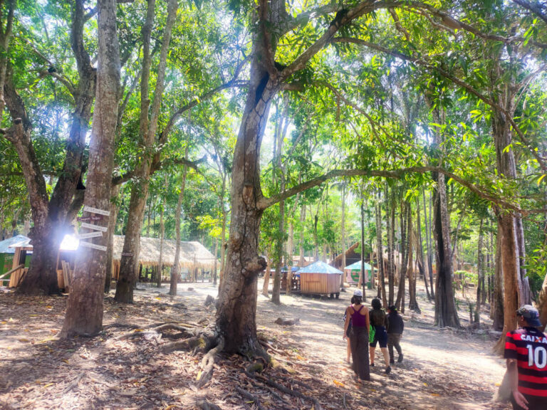 Indigenous community in Manaus, Brazil