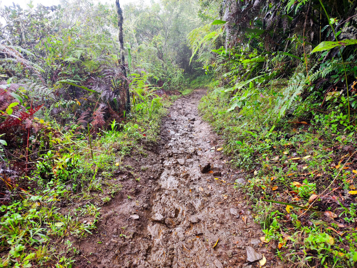 Hiking trail with a lot of mud in Llactapata in the Salkantay Trek