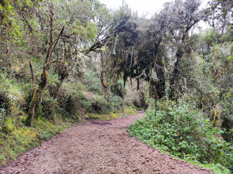 Trail to Colcapampa in the Salkantay trek in Peru