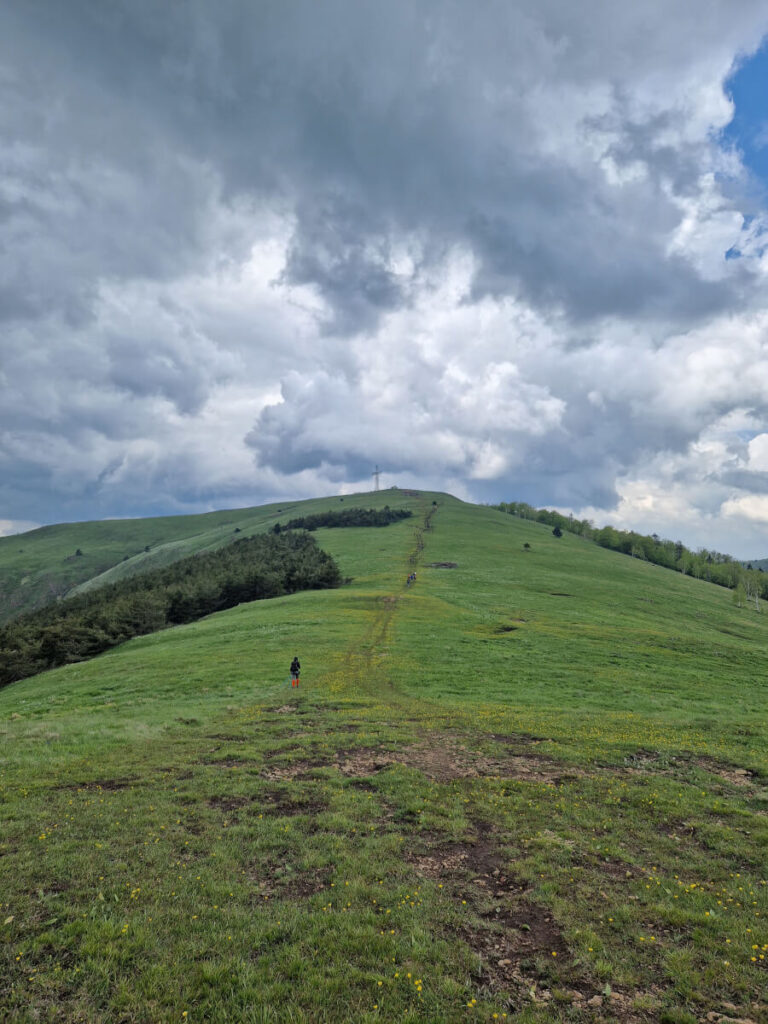 Hiking trail to the peak in the Stolovi Mountain