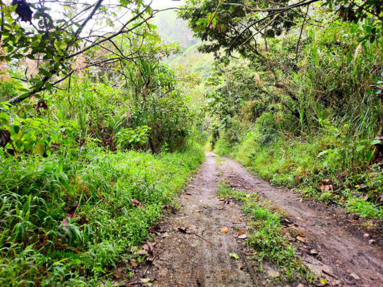 Trail from Llactapata to Hidroeletrica in Peru