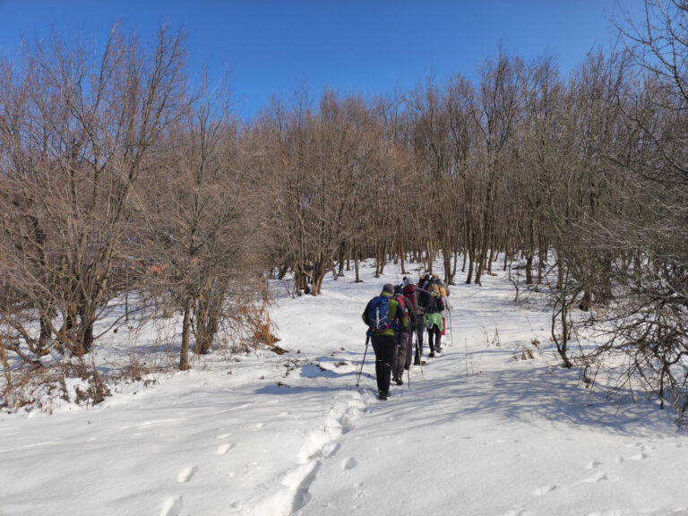 People hiking during the winter in Magles, a mountain in Serbia