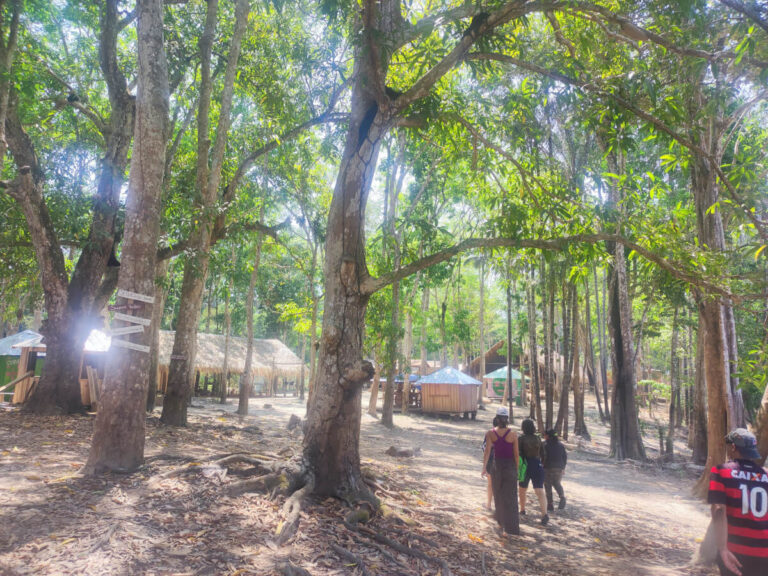 Indigenous reserve in Manaus, Brazil