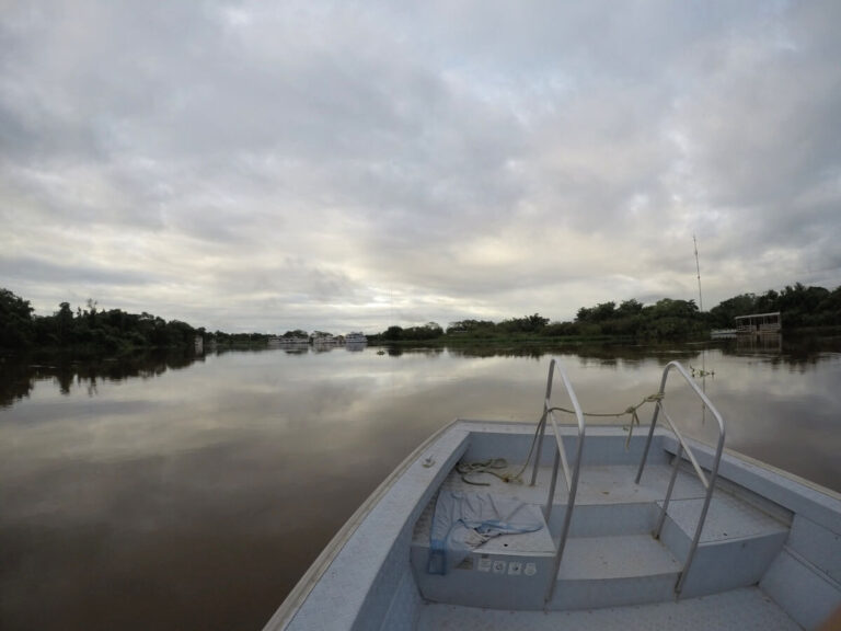 Boat ride early in the morning to explore the Pantanal in Brazil