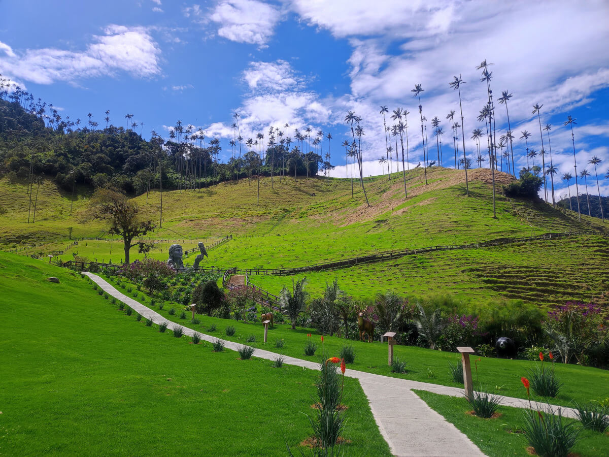 Cocora Valley near Salento, part of the Colombia travel itinerary for three weeks