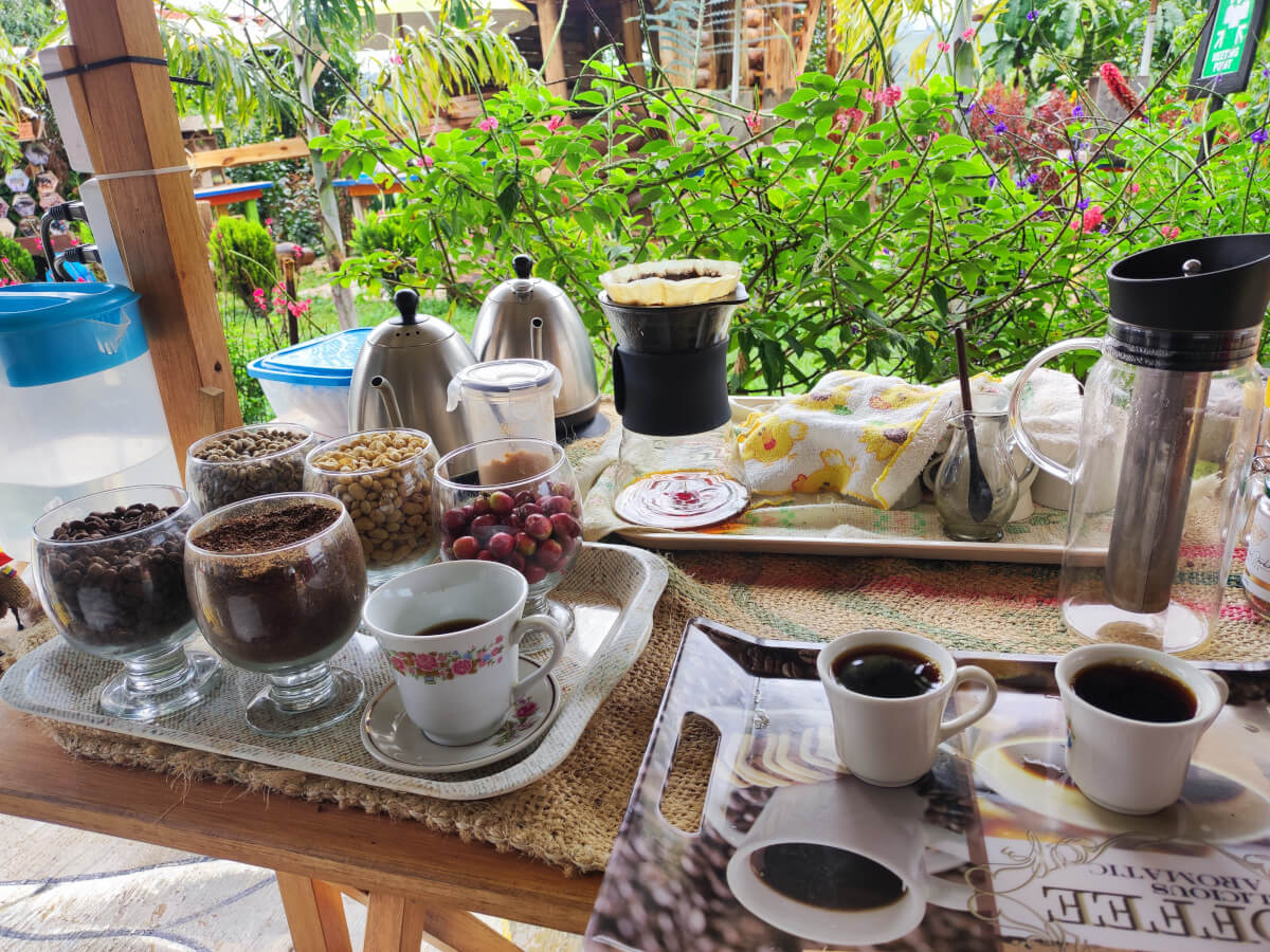 Colombian Coffee, a must do experience in a colombia travel itinerary 2 weeks